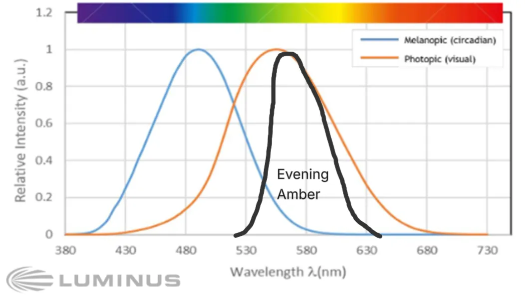 Ideal evening light spectrum — warm, low-melanopic output to allow melatonin onset while preserving visibility.