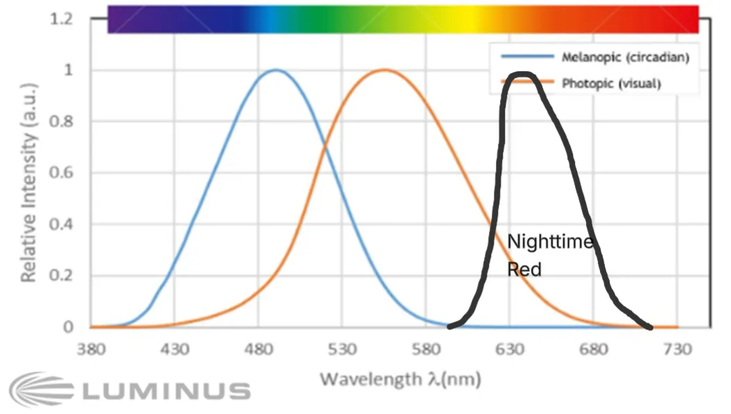 Ideal nighttime light spectrum — amber/red only, near-zero melanopic output, preserving deep sleep.