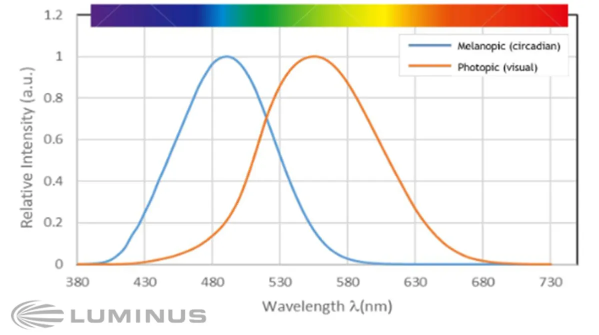 Melanopic and photopic response curves overlaid against the visible spectrum — melanopic drives circadian, photopic drives visual.