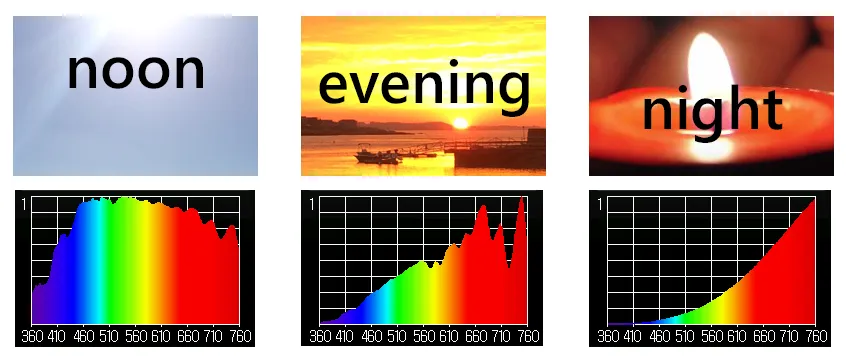 Natural sunlight spectrum — smooth, full-spectrum coverage from violet through red, the spectrum we evolved under.